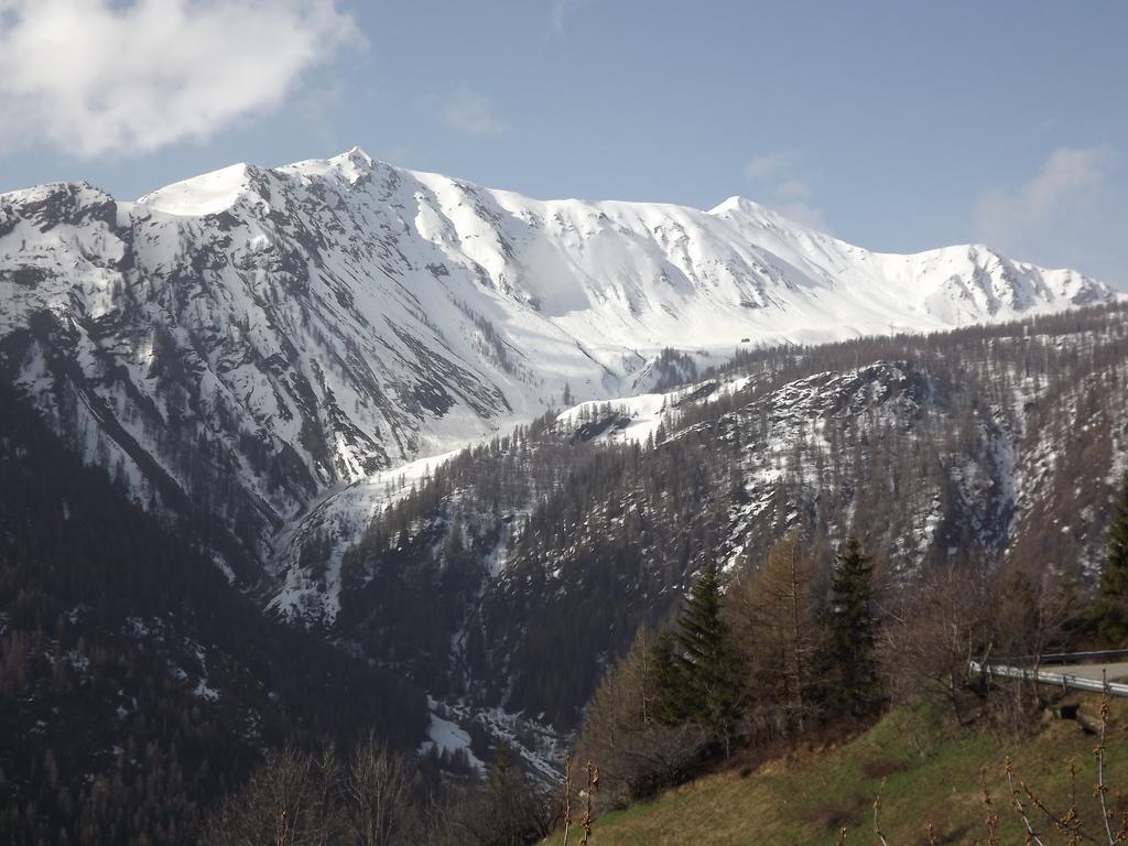 Вілла Pays Du Grand St Bernard Сен-Ремі-ан-Босс Екстер'єр фото